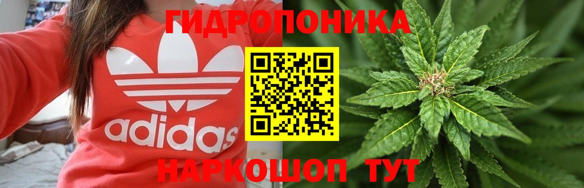 Марихуана план  Вход с VPN  Шишки марихуана Amnesia  Снежинск  Конопля тримм 